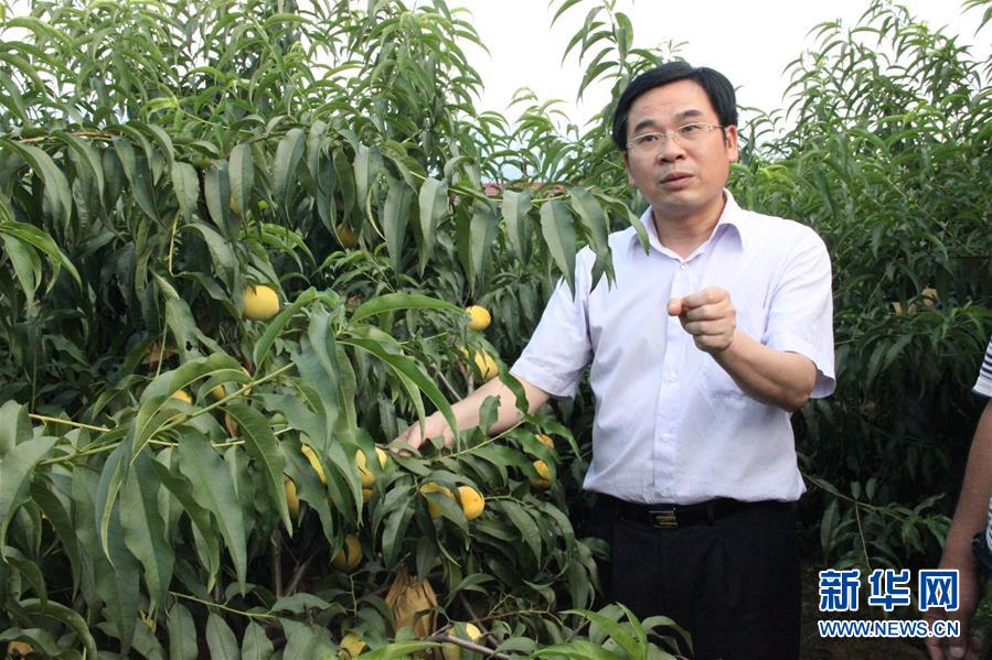 （圖文互動）（2）&ldquo;為脫貧而來，為脫貧而去&rdquo;&mdash;&mdash;追記湖南炎陵縣委原書記黃詩燕 