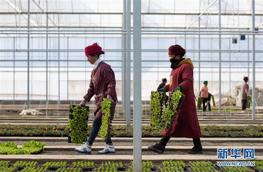 （新華全媒頭條&middot;圖文互動(dòng)）（9）踐諾大涼山