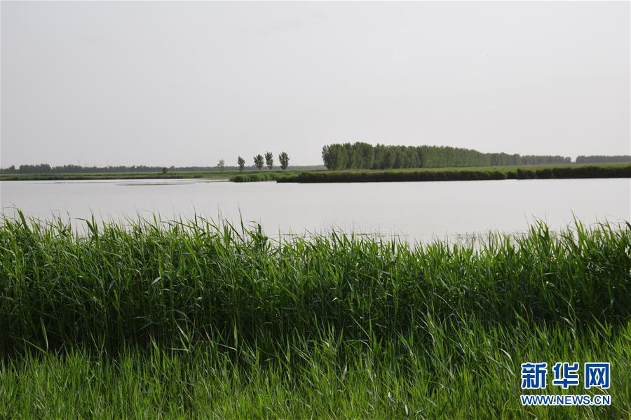 （圖文互動(dòng)）（2）巡護(hù)員鏡頭下的&ldquo;京津綠肺&rdquo;變身記