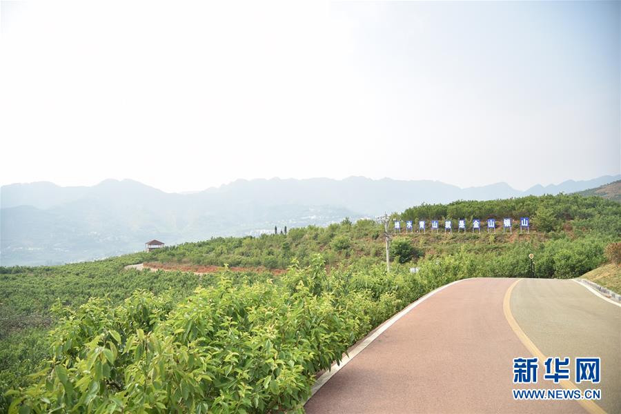 （決戰(zhàn)決勝脫貧攻堅(jiān)&middot;圖文互動）（2）烏蒙山農(nóng)民的笑臉&mdash;&mdash;貴州脫貧攻堅(jiān)一線采訪隨筆