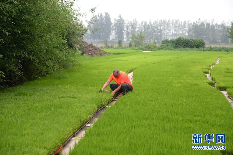 （圖文互動）（2）&ldquo;以萬全準(zhǔn)備防萬一發(fā)生&rdquo;&mdash;&mdash;安徽沿淮地區(qū)防汛備汛見聞