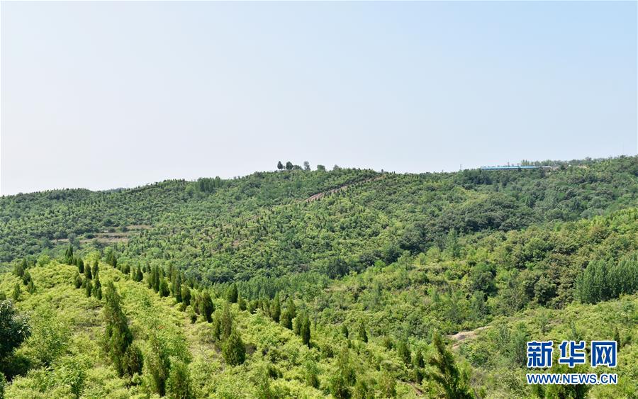 （決戰(zhàn)決勝脫貧攻堅&middot;圖文互動）（1）&ldquo;愚公&rdquo;治山