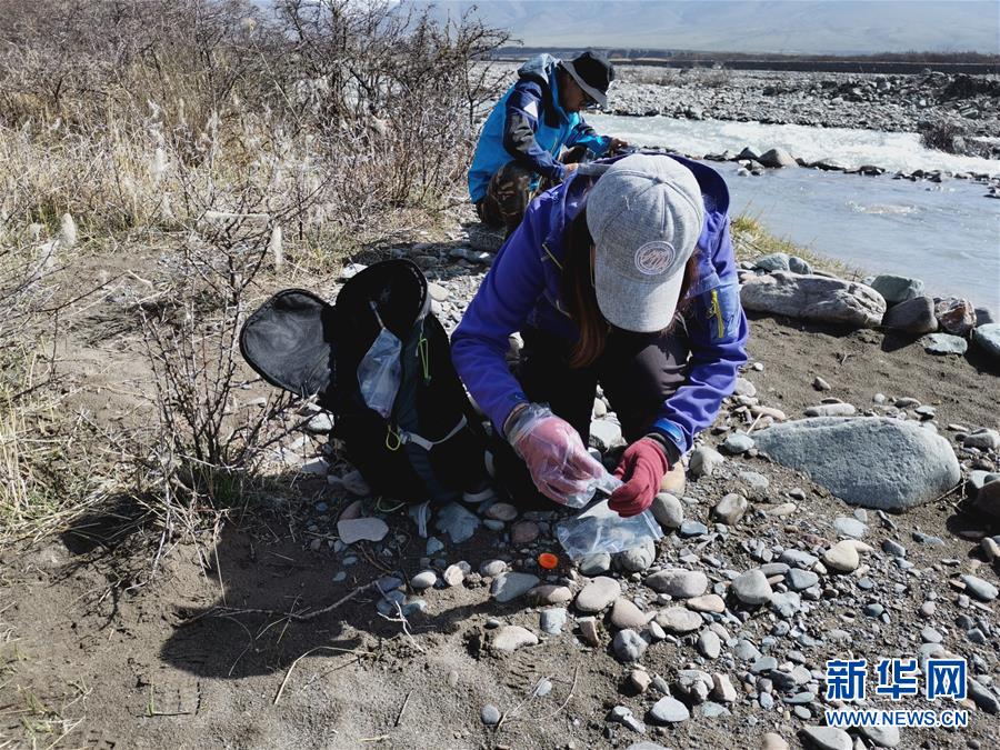 (圖文互動)(2)祁連山國家公園首個荒漠貓專項調(diào)查取得階段性成果