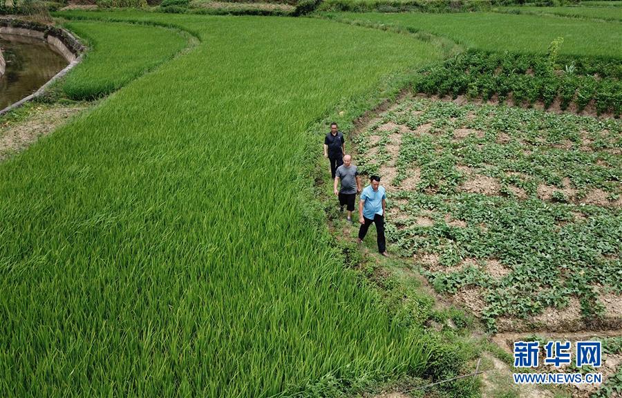 （圖文互動）（6）湘南深山，堅守扶貧一線的黨員之家