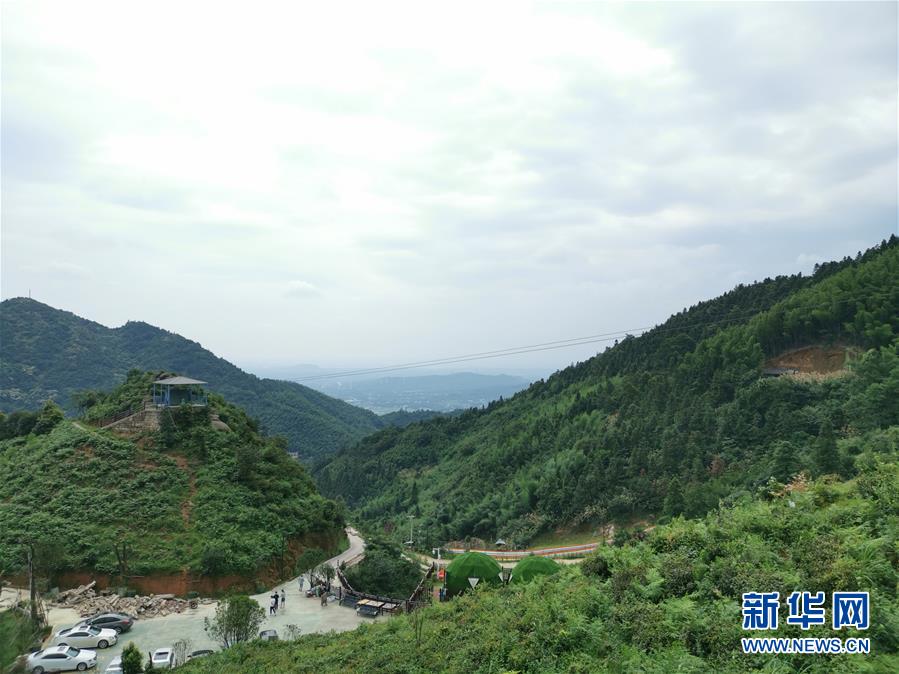 (走向我們的小康生活·圖文互動)(1)長沙:以“繡花功”精準(zhǔn)攻破“插花貧”