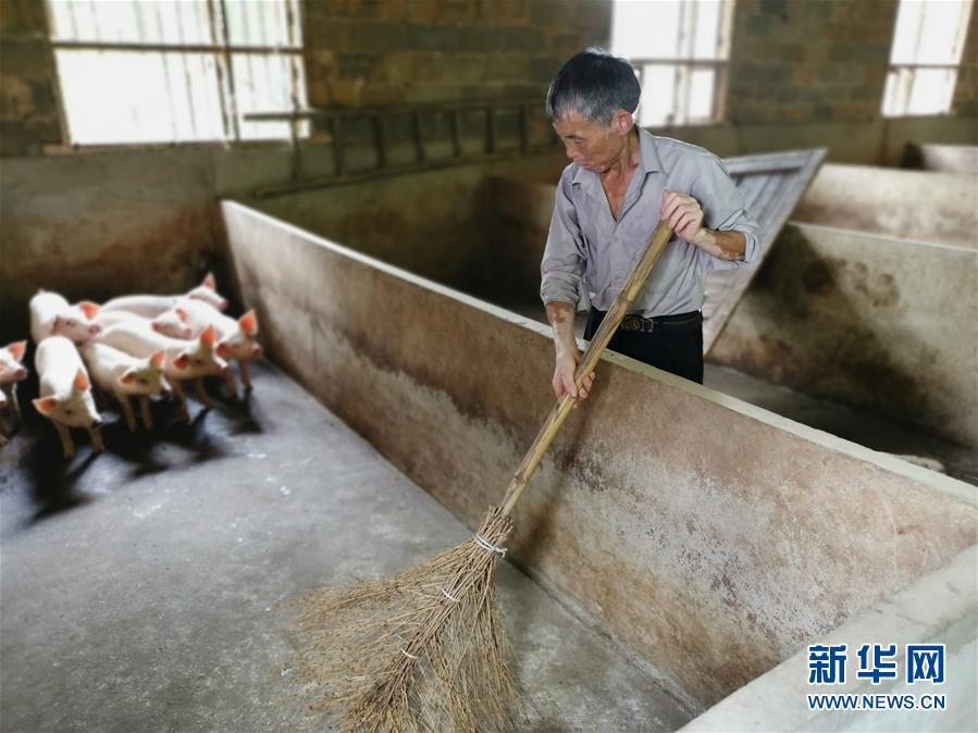 (走向我們的小康生活·圖文互動)(2)長沙:以“繡花功”精準(zhǔn)攻破“插花貧”