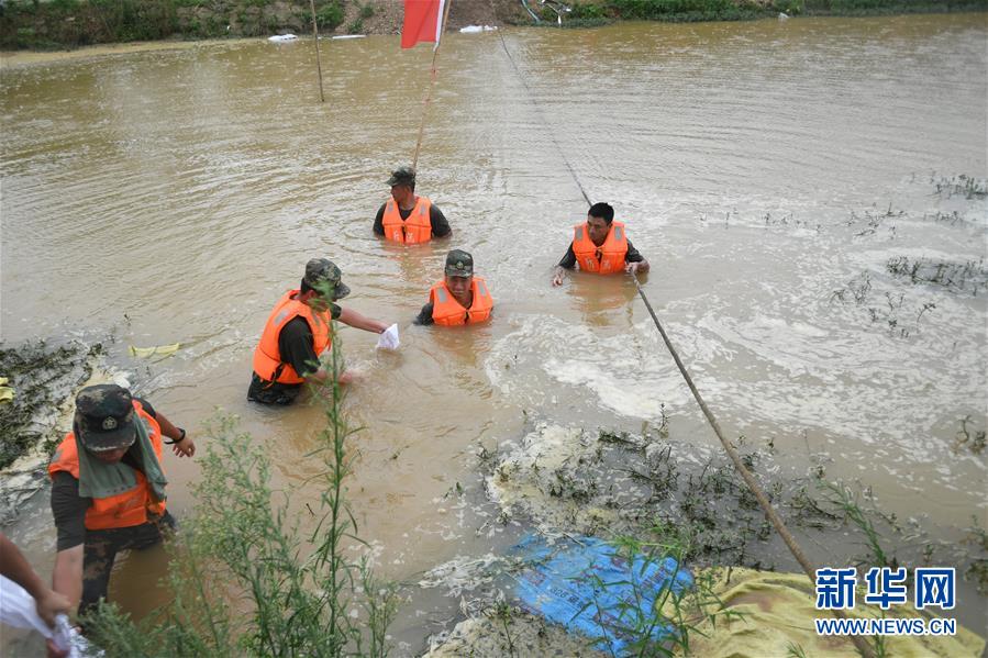 （防汛抗洪&middot;圖文互動(dòng)）（1）&ldquo;大堤上有了&lsquo;導(dǎo)彈綠&rsquo;，我們老百姓安了心&rdquo;