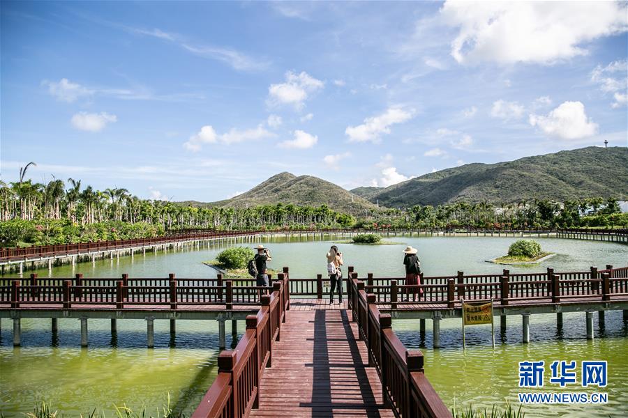 (新華全媒頭條·走向我們的小康生活·圖文互動)(6)留住鄉(xiāng)愁留住美——千村競秀綴瓊州