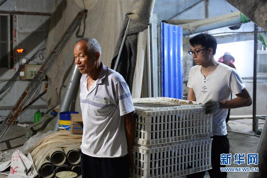 (防汛抗洪)(1)淮河蒙洼蓄洪區(qū)深夜轉(zhuǎn)移