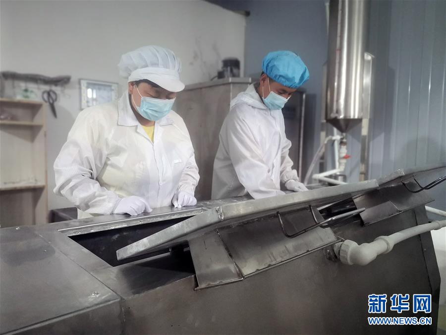 （中國(guó)網(wǎng)事&middot;感動(dòng)2020&middot;圖文互動(dòng)）（1）&ldquo;90后&rdquo;扶貧干部跨越千里當(dāng)上&ldquo;掛面書(shū)記&rdquo;