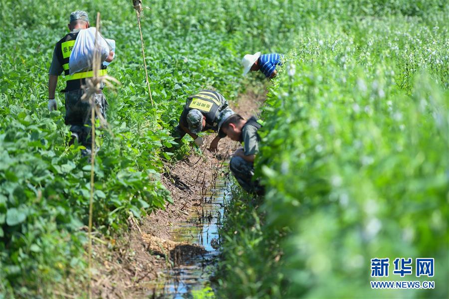 （新華全媒頭條&middot;圖文互動）（10）筑起共御水患的鋼鐵長堤&mdash;&mdash;戰(zhàn)洪一線的&ldquo;干群關(guān)系新答卷&rdquo;