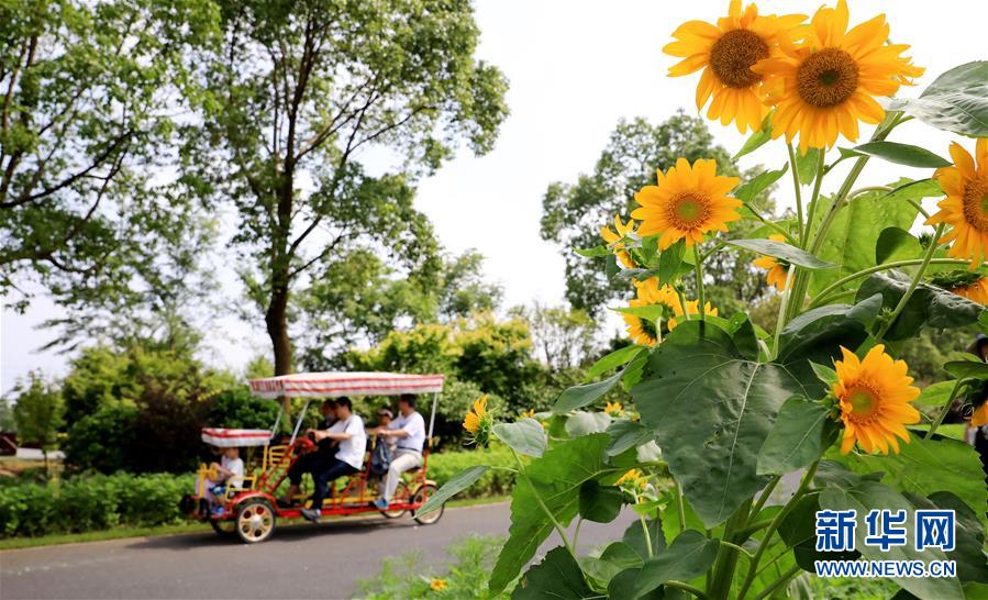 （新華全媒頭條&middot;走向我們的小康生活&middot;圖文互動(dòng)）（13）城市，讓人民生活更美好