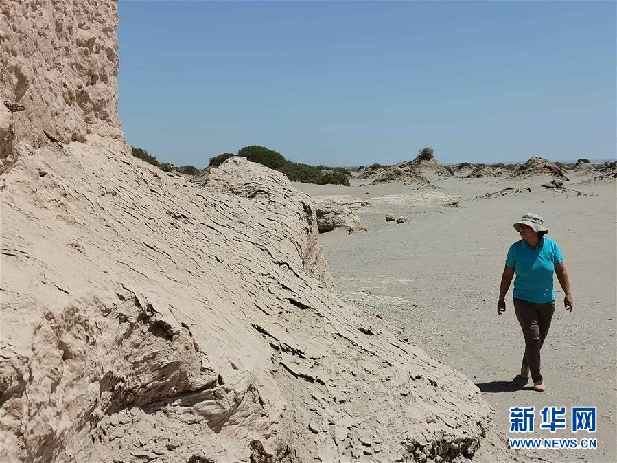 (圖文互動)(2)“仿佛泥土?xí)f話”——戈壁灘上絲路遺址的長情守望者