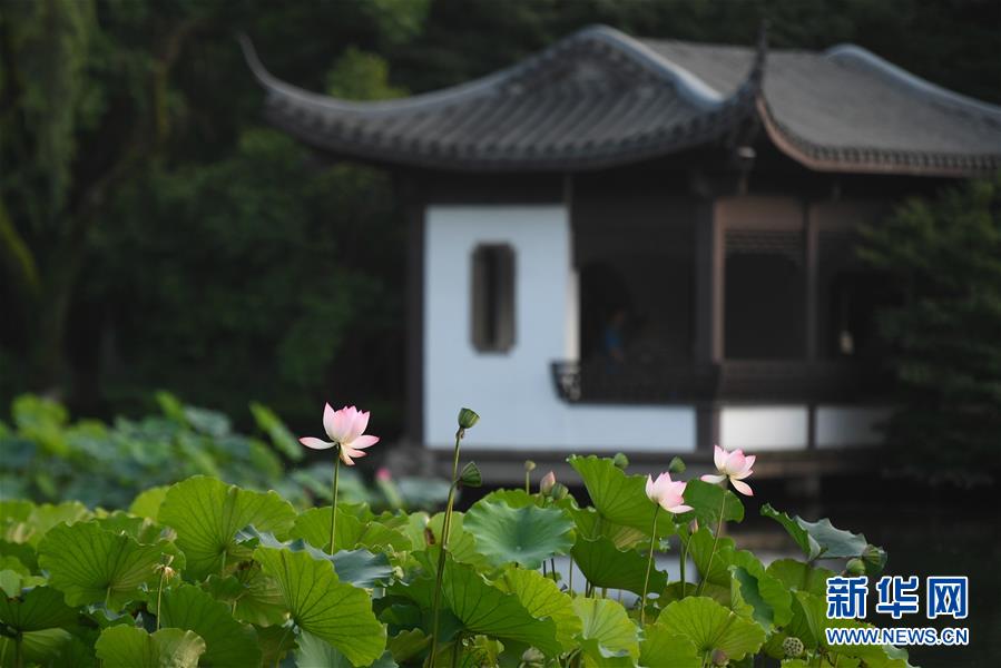 （新華全媒頭條&middot;圖文互動(dòng)）（7）錢塘今朝更繁華&mdash;&mdash;高水平小康的&ldquo;杭州答卷&rdquo;