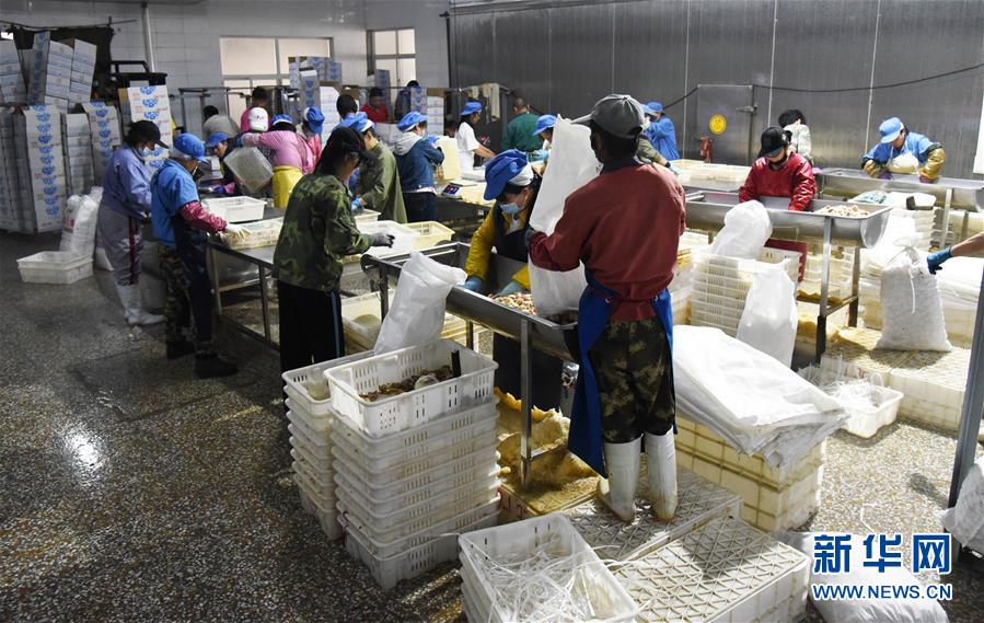 （新華全媒頭條&middot;走向我們的小康生活&middot;圖文互動(dòng)）（3）幸福小康入畫來&mdash;&mdash;齊魯大地描繪小康新畫卷