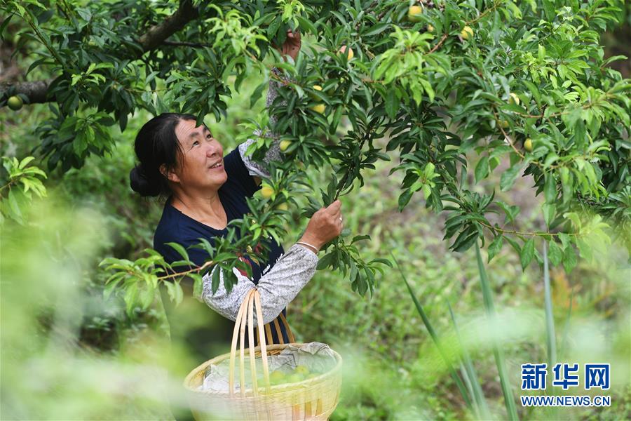 （新華全媒頭條&middot;走向我們的小康生活&middot;圖文互動）（7）大城大鄉(xiāng)的&ldquo;幸福協(xié)奏曲&rdquo;&mdash;&mdash;重慶推動高質(zhì)量發(fā)展創(chuàng)造高品質(zhì)生活紀(jì)事