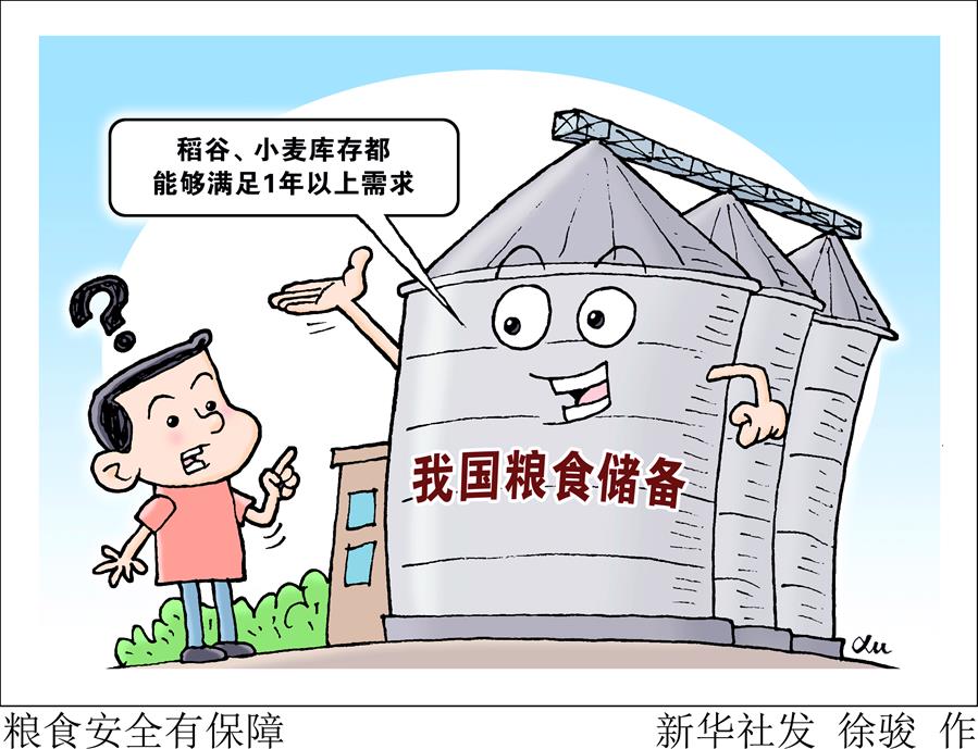 （圖表&middot;漫畫）［經(jīng)濟(jì)］糧食安全有保障 
