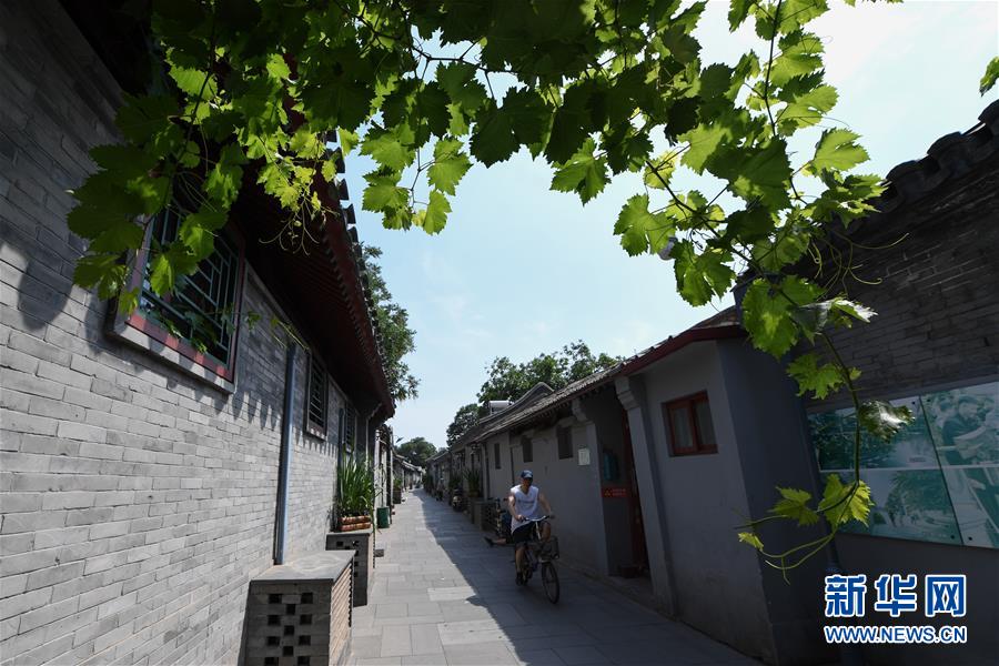 （走向我們的小康生活&middot;圖文互動(dòng)）（1）小橋、流水、書(shū)香、人家&mdash;&mdash;老北京胡同里的恬靜棲居