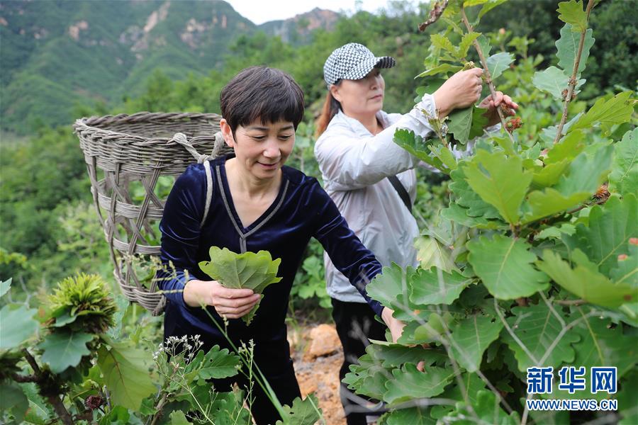 （新華全媒頭條&middot;走向我們的小康生活&middot;圖文互動(dòng)）（7）長(zhǎng)城腳下，小康村串成&ldquo;珍珠鏈&rdquo;