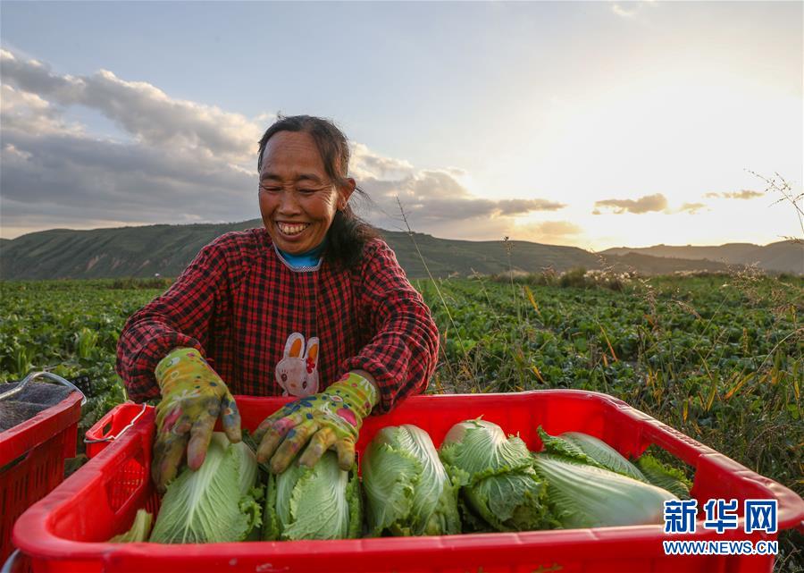 （新華全媒頭條&middot;決戰(zhàn)決勝脫貧攻堅&middot;督戰(zhàn)未摘帽貧困縣&middot;圖文互動）（1）不獲全勝，決不收兵&mdash;&mdash;全國52個掛牌督戰(zhàn)貧困縣脫貧攻堅紀(jì)實