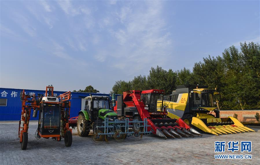 （新華全媒頭條&middot;圖文互動）（5）為現(xiàn)代農業(yè)探新路&mdash;&mdash;來自吉林梨樹的田野報告