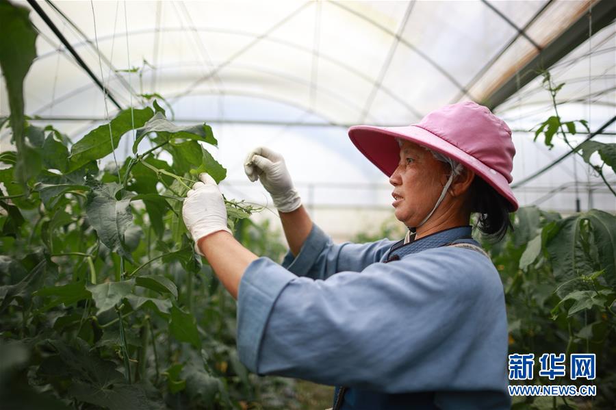 (走向我們的小康生活·決戰(zhàn)決勝脫貧攻堅·圖文互動)(1)麻山突圍記