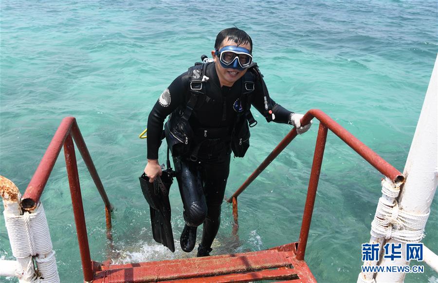 （在習(xí)近平新時代中國特色社會主義思想指引下&mdash;&mdash;新時代新作為新篇章&middot;習(xí)近平總書記關(guān)切事&middot;圖文互動）（5）終不悔為國為民，攀高峰只爭朝夕&mdash;&mdash;來自科學(xué)家們的動人故事