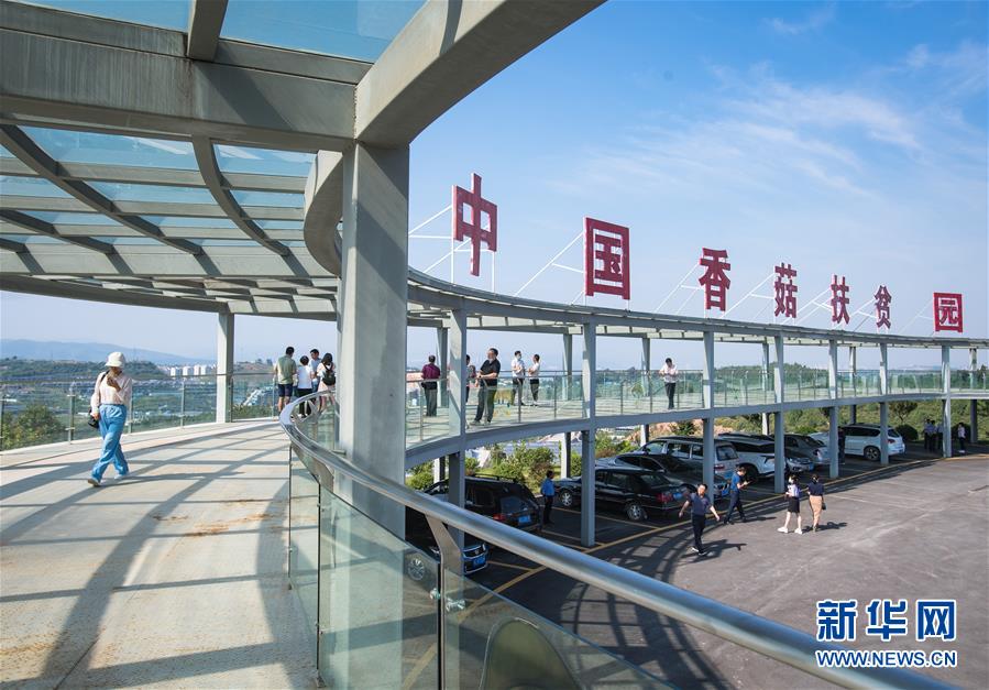 （新華全媒頭條&middot;走向我們的小康生活&middot;圖文互動(dòng)）（2）特殊之年，荊楚大地書寫不平凡的答卷