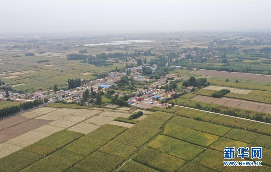 （全面建成小康社會(huì)&ldquo;百城千縣萬村調(diào)研行&rdquo;&middot;圖文互動(dòng)）（2）寧夏華寺村：做活&ldquo;土&rdquo;文章 村民享小康