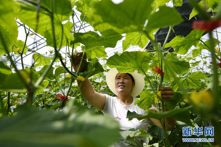 （新華全媒頭條&middot;百萬(wàn)大移民&middot;圖文互動(dòng)）（1）從大山深處到大河之畔&mdash;&mdash;寧夏持續(xù)移民百萬(wàn)&ldquo;拔窮根&rdquo;啟示