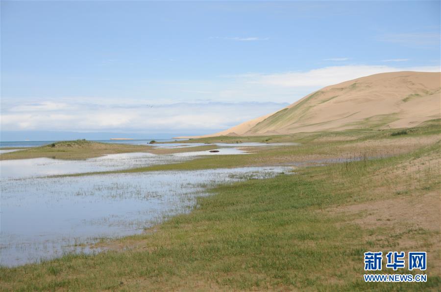 （新華全媒頭條&middot;圖文互動）（12）大湖見證 &mdash;&mdash;持續(xù)保護(hù)讓青海湖生態(tài)華麗&ldquo;蝶變&rdquo;