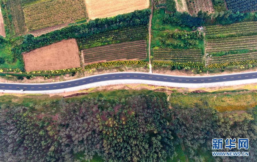 (新華全媒頭條·圖文互動)(4)從“四亂”突出到生態(tài)修復(fù) 黃河漸成中原“綠飄帶”