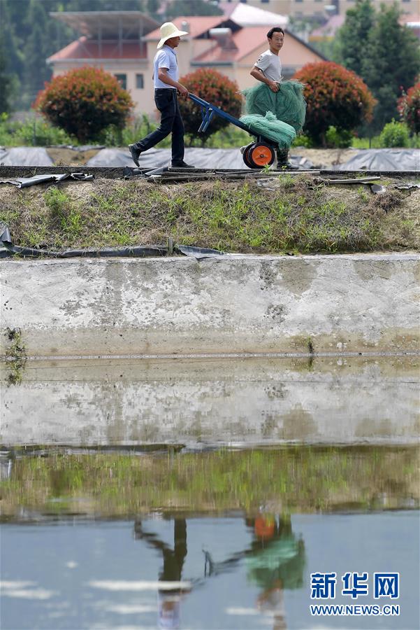 (新華全媒頭條·圖文互動(dòng))(3)幕阜山“搬窮”記
