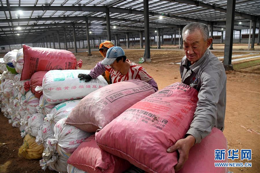 (全面建成小康社會(huì)“百城千縣萬(wàn)村調(diào)研行”·圖文互動(dòng))(6)青島西海岸新區(qū)以“生態(tài)酵母”激活鄉(xiāng)村振興