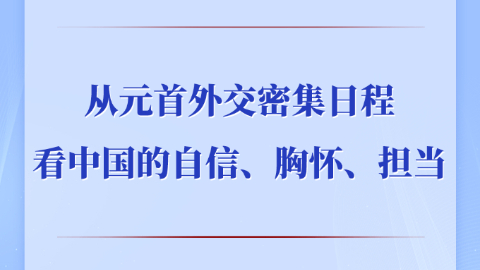 從元首外交密集日程看中國(guó)的自信、胸懷、擔(dān)當(dāng)