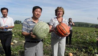 于海河圖啥？&mdash;&mdash;追尋黑土地上&ldquo;焦裕祿&rdquo;的民心足印