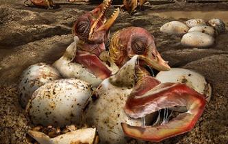 中國(guó)發(fā)現(xiàn)史前翼龍&ldquo;伊甸園&rdquo;