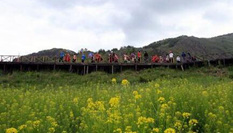 黑龍江游客走進新疆阿勒泰&ldquo;明星&rdquo;景區(qū)感受北疆風(fēng)光