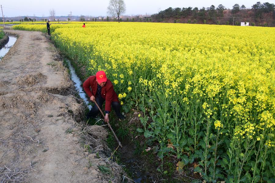 貧困戶老楊的人生&ldquo;三級(jí)跳&rdquo;