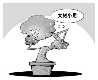 自認(rèn)&ldquo;大材小用&rdquo;，不如腳踏實(shí)地