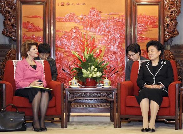 劉延?xùn)|會(huì)見歐盟委員會(huì)教育、文化、語言多樣性及青年事務(wù)委員瓦西利烏