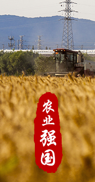 農(nóng)業(yè)強(qiáng)國是社會主義現(xiàn)代化強(qiáng)國的根基。