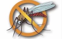 夏季，常見蚊蟲如何應(yīng)對