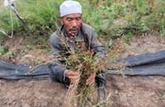 野生動(dòng)物與民&ldquo;爭&rdquo;利