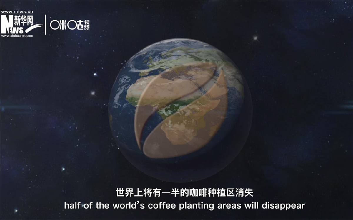 科學家預測到三十年后，世界上將有一半的咖啡種植區(qū)消失