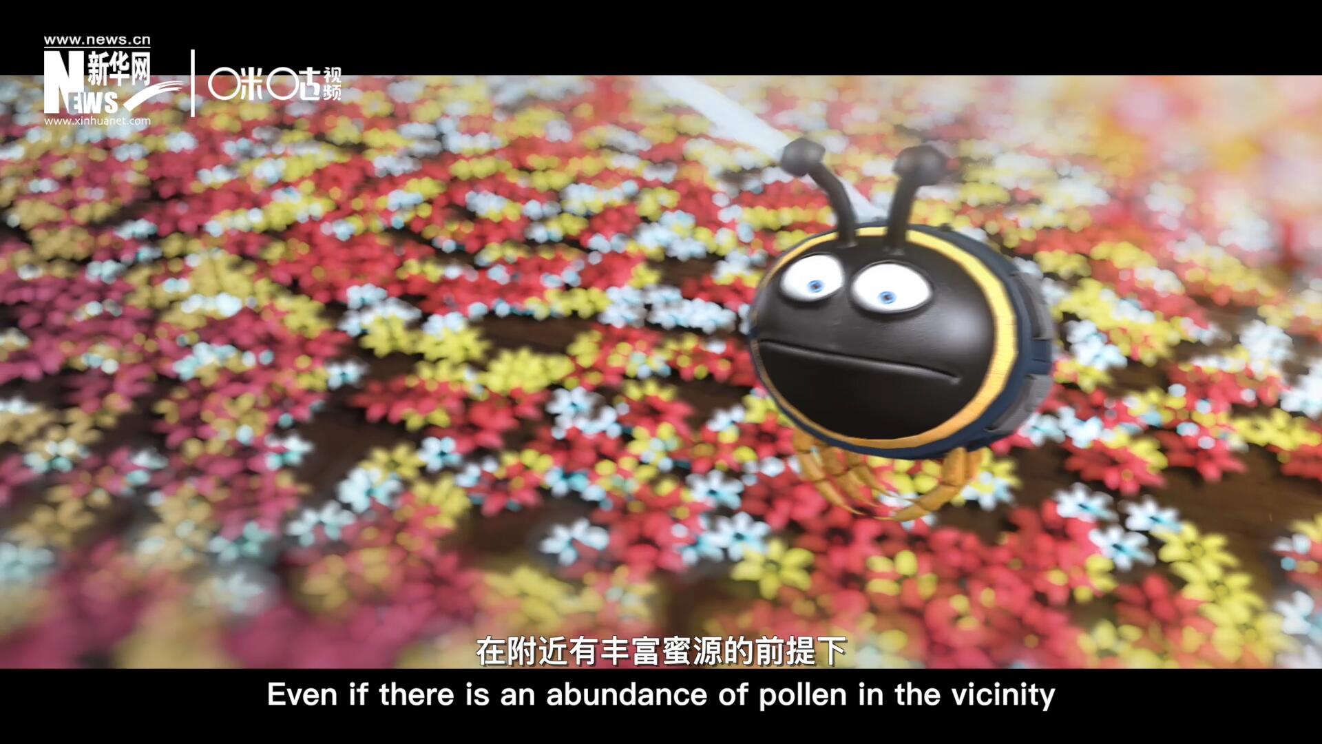 你知道一只蜜蜂采一公斤蜜有多辛苦嗎？據(jù)統(tǒng)計，在附近有豐富蜜源的前提下，一只蜜蜂大約需要飛行四萬千米