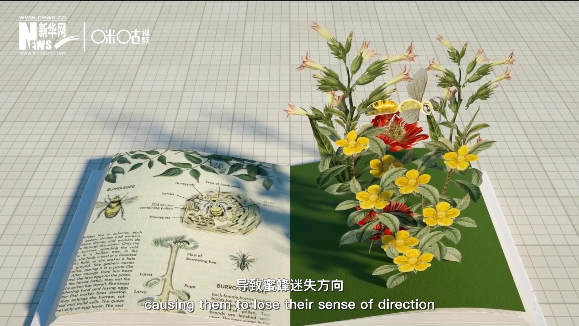 殺蟲劑會破壞蜜蜂的神經(jīng)系統(tǒng)，導致蜜蜂迷失方向，無法回到蜂房，還會降低蜜蜂的抵抗力