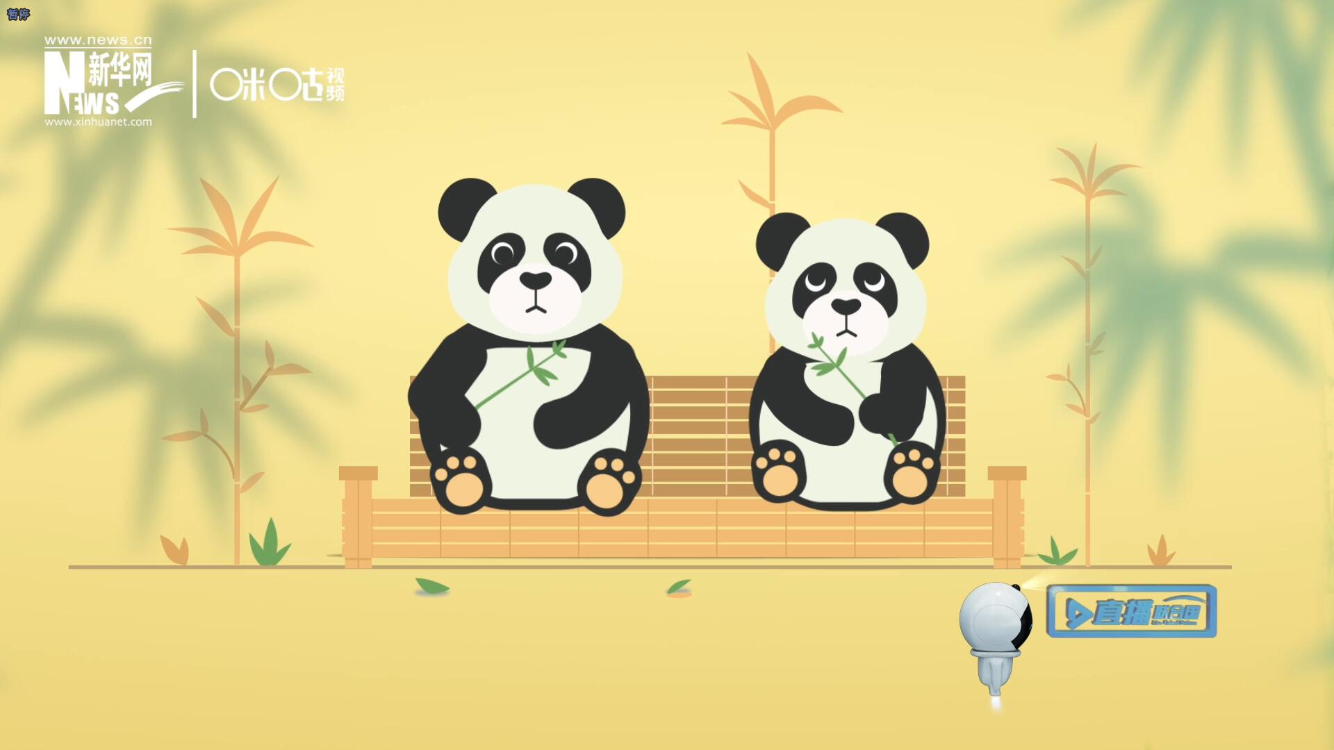 &ldquo;哥哥你看，又有人來看我們了。&rdquo;&ldquo;有什么奇怪的，我們可是聯(lián)合國&lsquo;最萌&rsquo;的大使啊！&rdquo;。