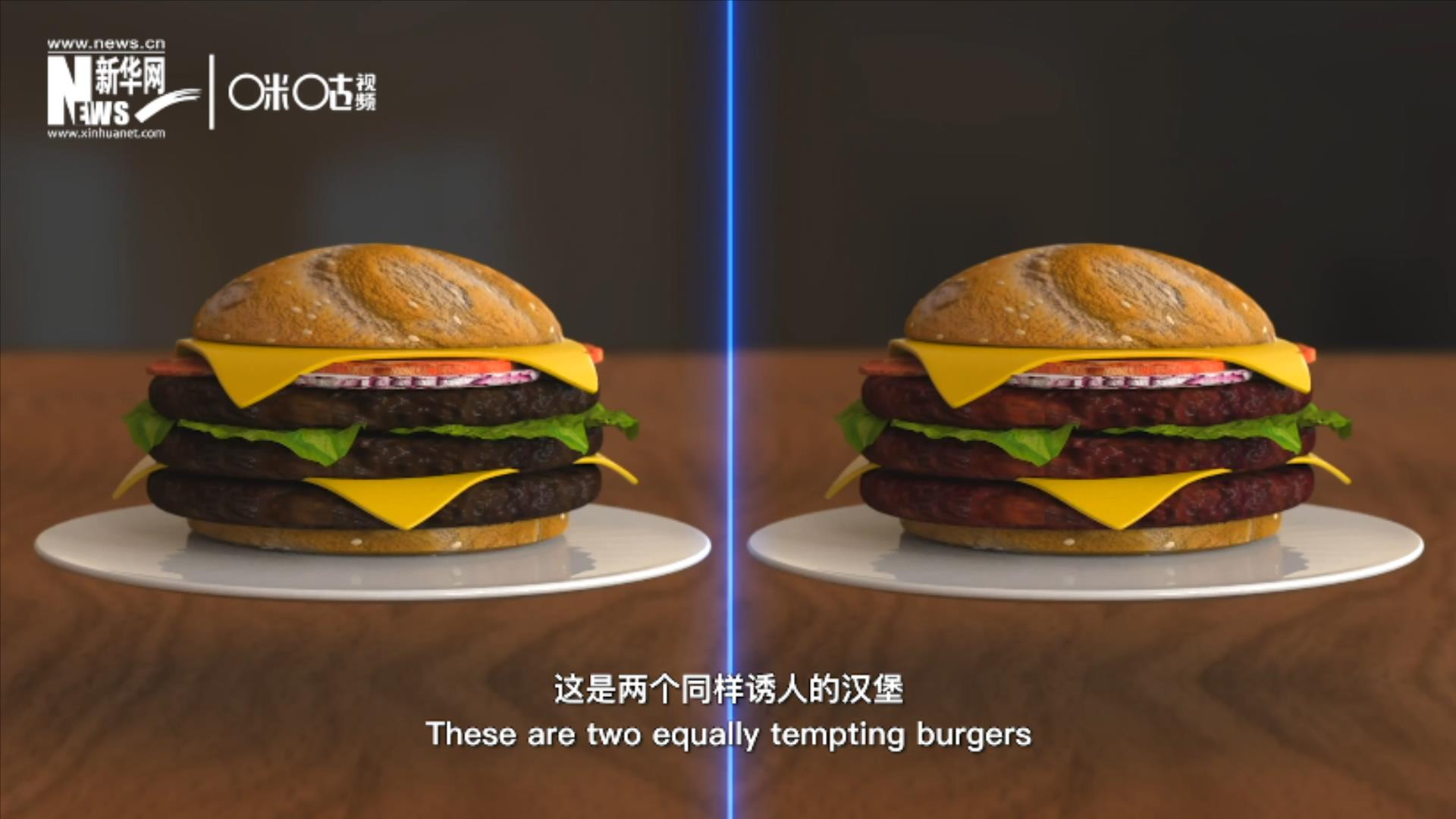 人造肉漢堡能在生產(chǎn)過程中節(jié)約水、土地、排放以及能量