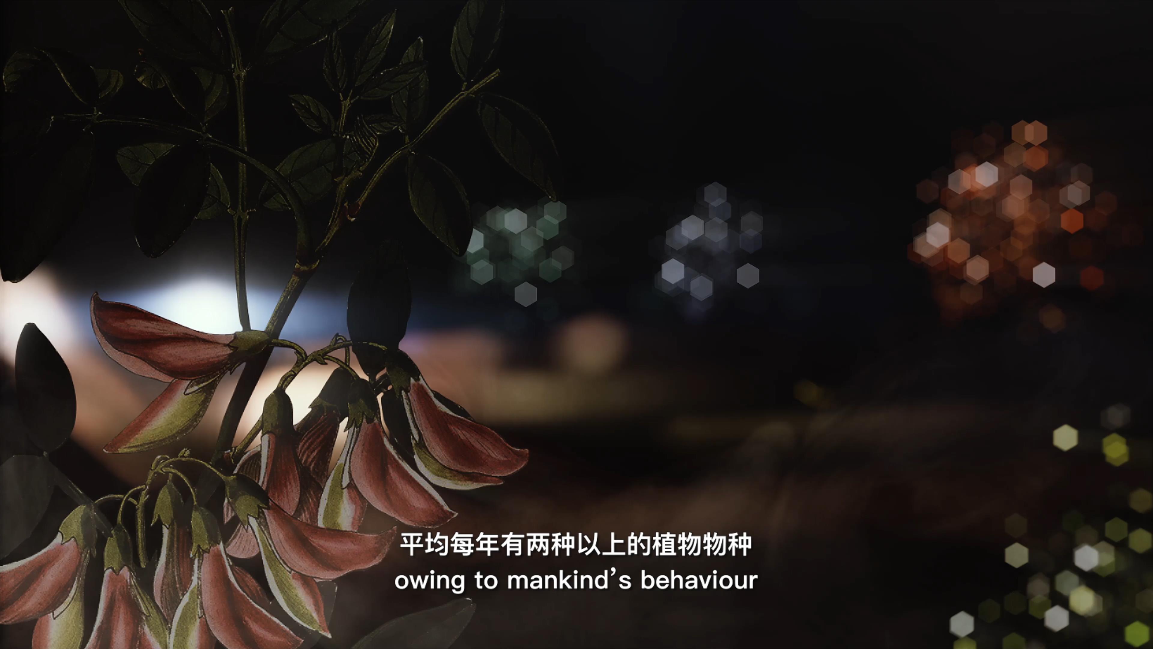 自18世紀(jì)中葉以來，許多植物物種因?yàn)槿祟惖脑蚨鴱牡厍蛏舷? />      
<div   id=